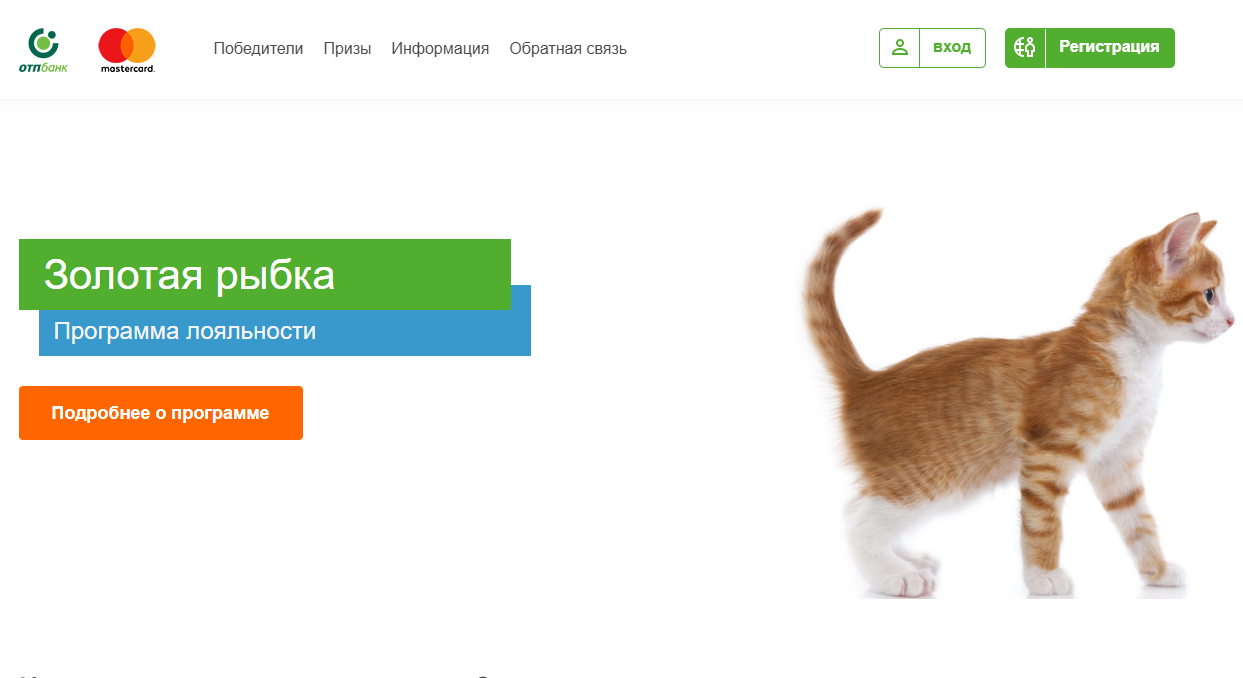 Нескучная система лояльности для банка