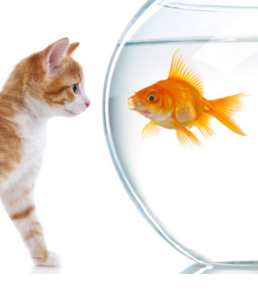 Нескучная система лояльности для банка